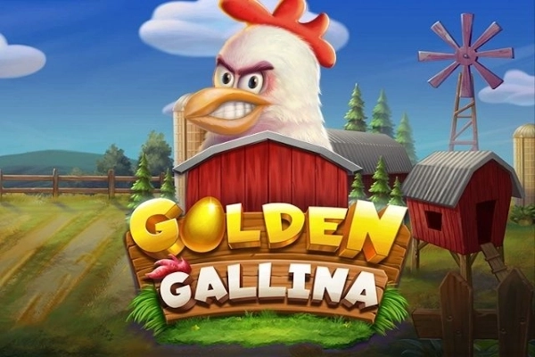11102 golden gallina